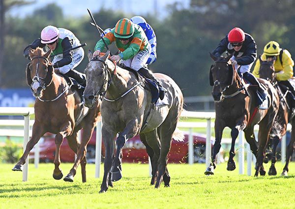 Imposing Supreme stays on well