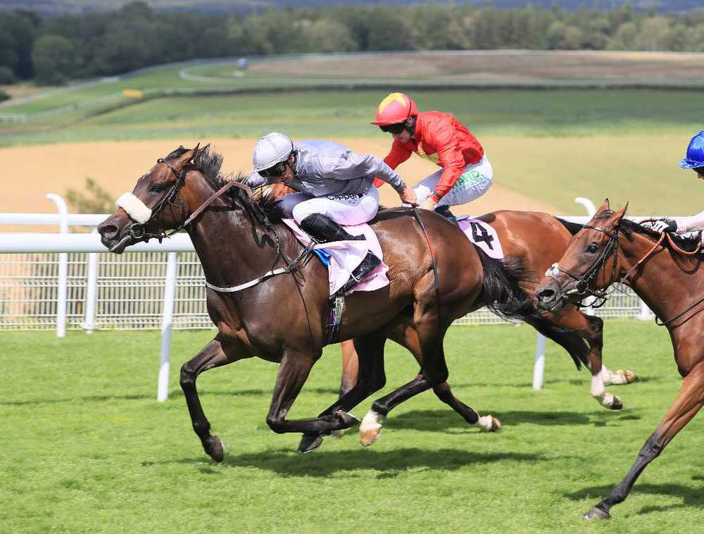 Last Empire (noseband) wins under Danny Tudhope