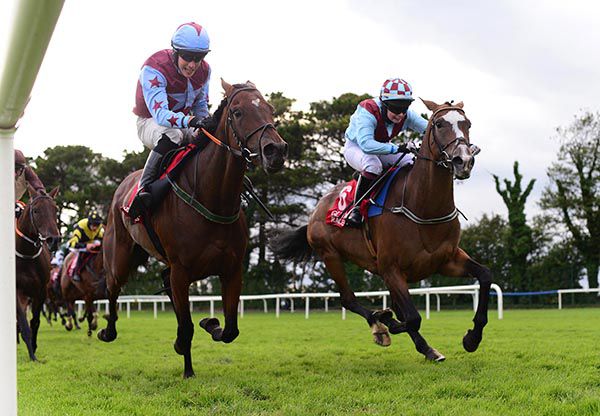 Memorable Daise and Jody Townend (right) beat Fanoir 
