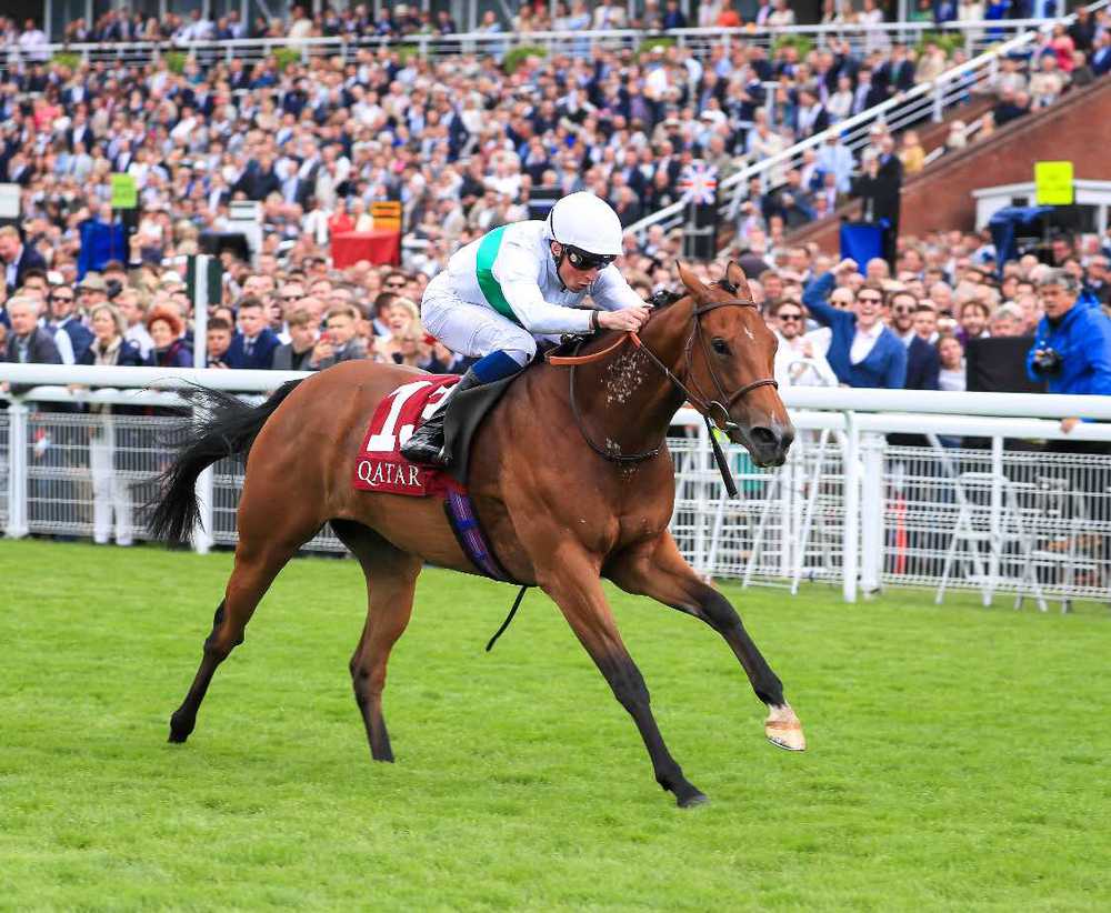 Goodwood winner Suesa