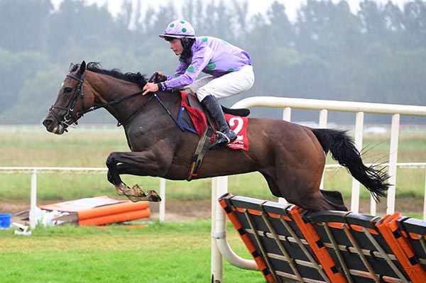 Dashing Shirocco and Cian Quirke over the last