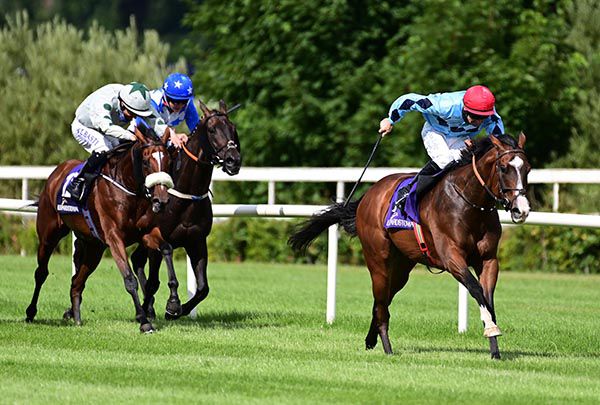 Woodrow is ridden out by Rory Cleary