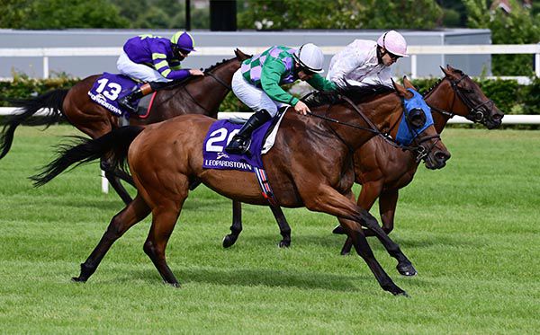 Cactus Tree comes with her winning run under Wayne Lordan