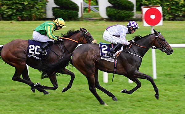 Dawn Tapper (Rory Cleary) beating Jazzelle