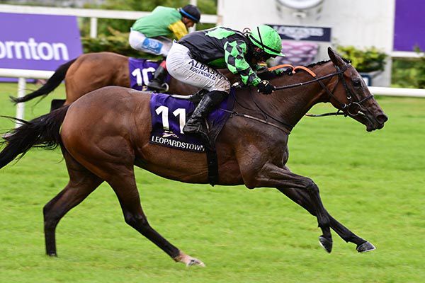 Harvest Bow (nearest) is ridden out by Gary Carroll to beat Mountain Fox 