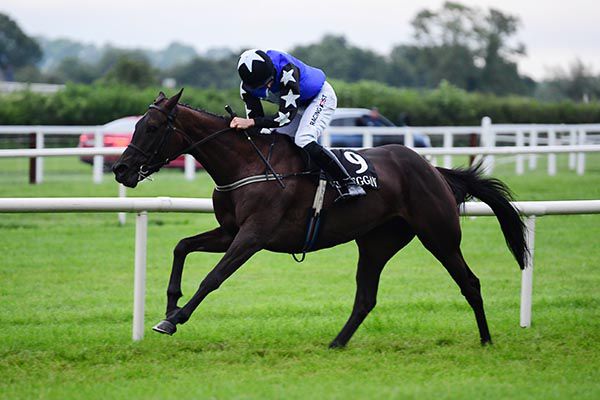 Flemencello and Patrick Mullins 