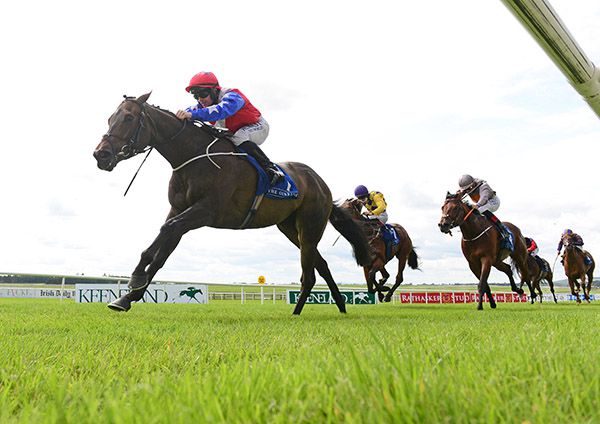 Gustavus Weston leads home his rivals under Gary Carroll