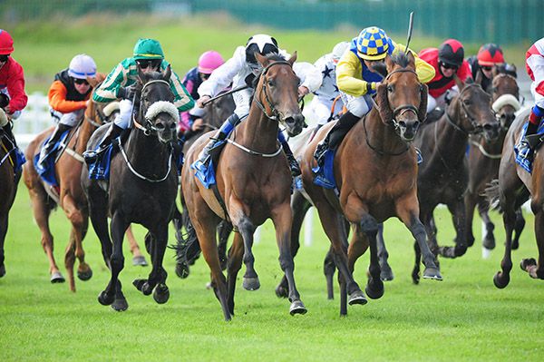 Texas Rock (blue and yellow) battles out the finish with Dragons Call (black and white)