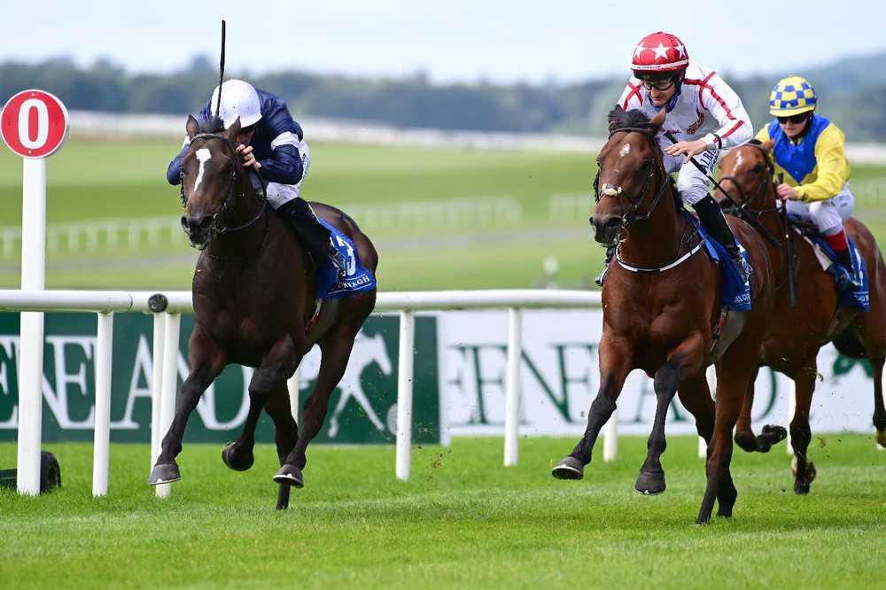 Cowboy Justice (red cap) is among the market leaders for today's Irish Cambridgeshire