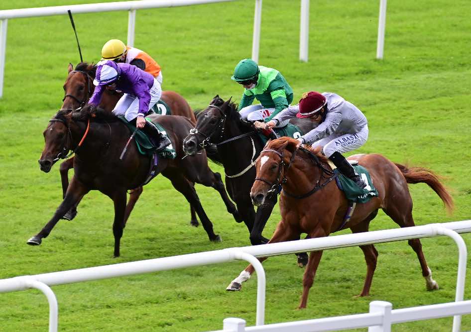 Go Bears Go (purple) was third to Ebro River (near side) in the Phoenix Stakes