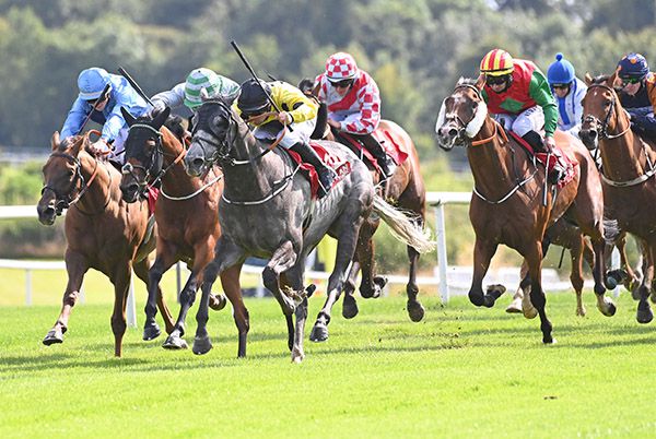 The grey Howling Wolf (Rory Cleary) hits the front close home 