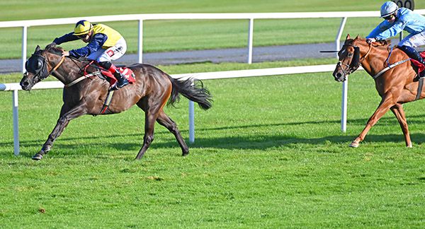 Nebo stays on strongly for Leigh Roche 