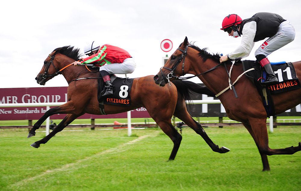 News Earlswood opens up path to Irish Champion Stakes