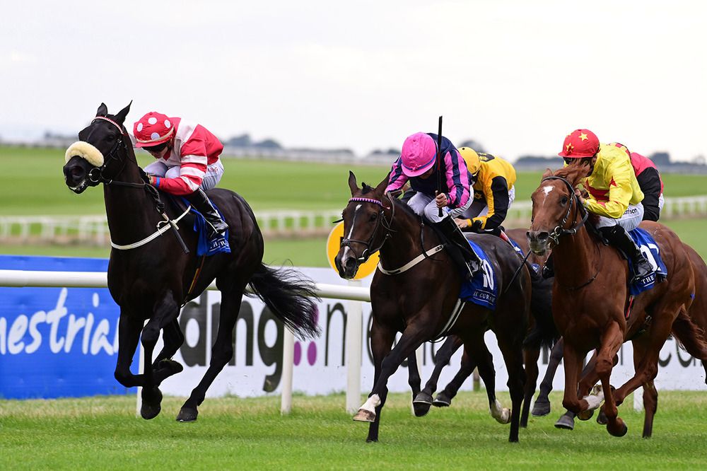 Golden Twilight, far side, sees them off