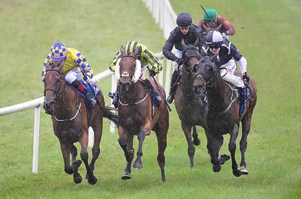 White Pepper (centre, cheek-pieces)