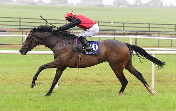 Stellium and Gary Carroll 