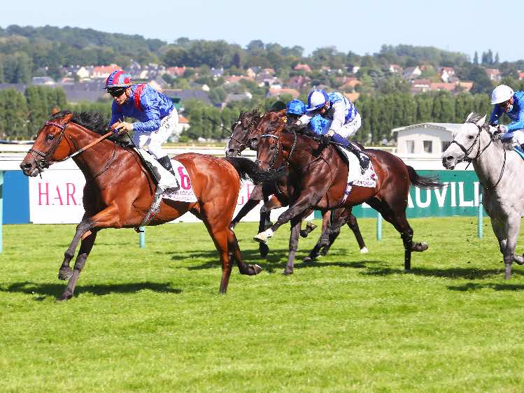 Dubai Honour has won three of his last four starts, including two G2s in France.