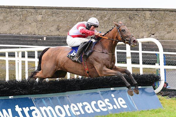 Withallduerespect and Mike O'Connor jump the last 