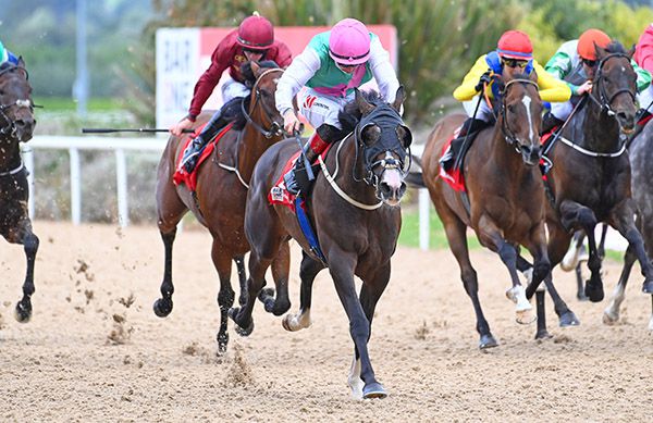 Angel Palm and Colin Keane