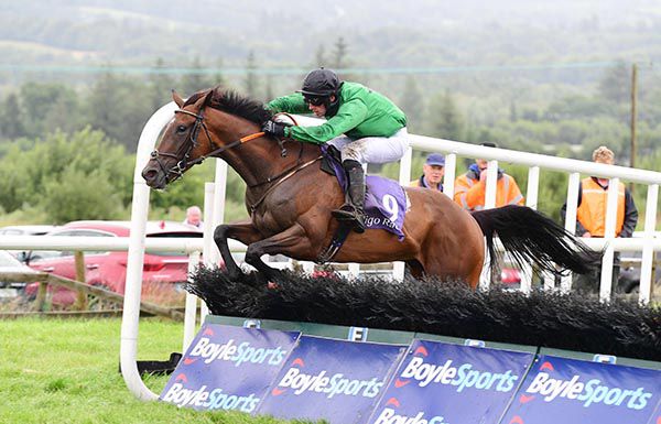 Mullins Cross and Shane Fenelon jump the last