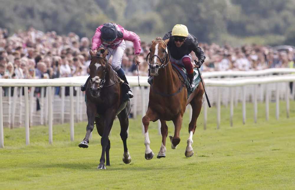 Stradivarius (right) winning at York in August