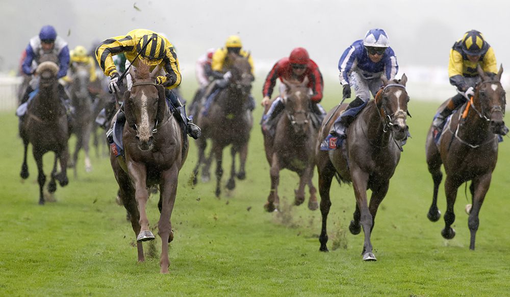 Sonnyboyliston and Ben Coen (yellow)