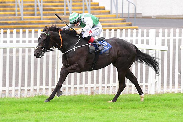 Aloysius Lilius and Colin Keane  