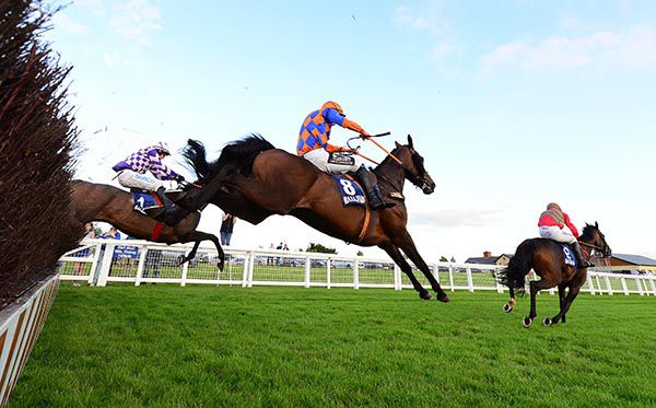 The Dabbler (no.8) and Eoin Walsh give chase to WaWa at the last