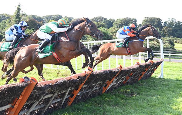 Lady Lingo and Richie Deegan (far side) are pressed at the last by Ally Cay