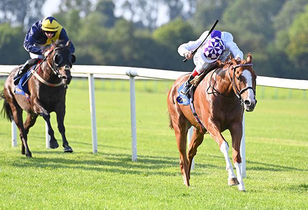 Geometrical is clear under Kevin Manning 