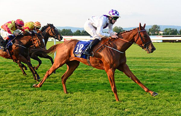 Bosca Cheoil and Luke McAteer 