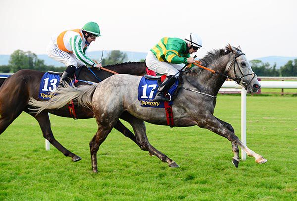 Future Romance and Wayne Lordan get the better of Petitioner
