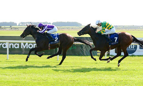 Bluegrass winning his maiden at the Curragh