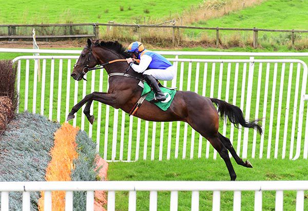 Drummullagh Rocky and Conor Maxwell fly the last