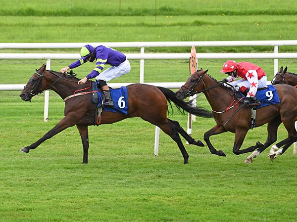 Tai Sing Yeh and Donagh O'Connor 