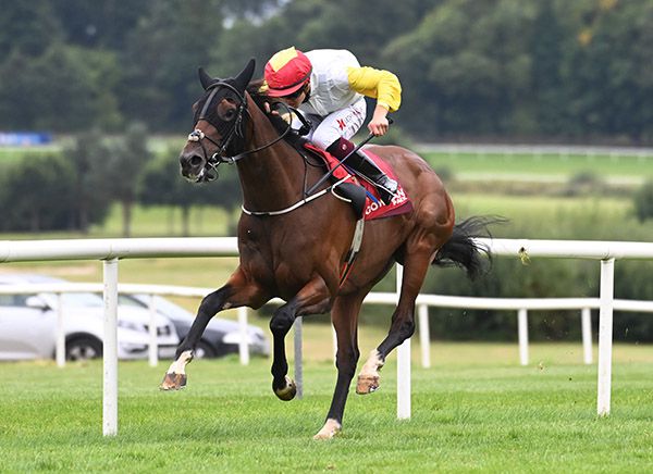 Ballinlough Gale and Dylan Browne McMonagle 