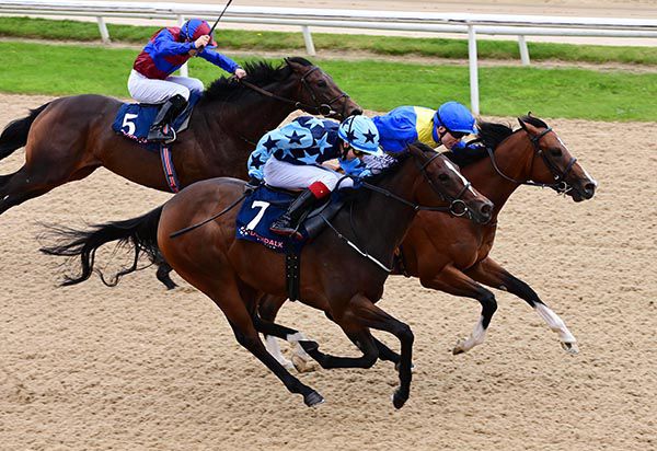 Irishracing Com News Feane Ryan Double Up With Anatoli