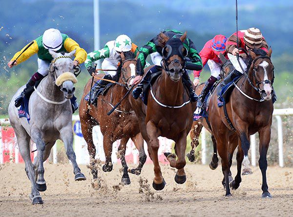 Hodd's Girl (grey) is ridden out by Mikey Sheehy to beat Parkers Hill (centre) and Woodrow (right)