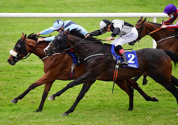 Aurora Princess (far side) beats Pin Your Hopes