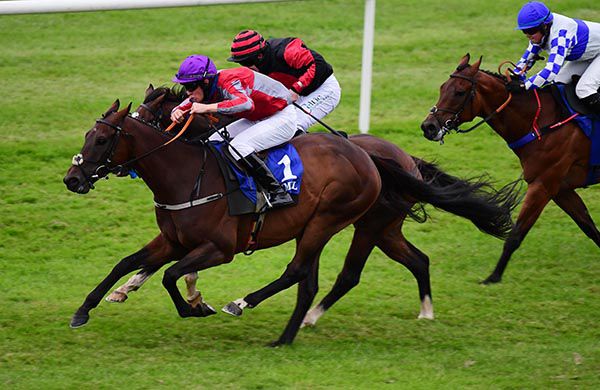 Excelcius and Charlie Mullins get the better of Ashqar and John Kirwan