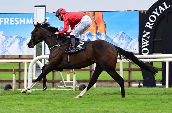 Snaffles cruises home under Shane Crosse