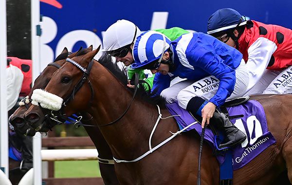 Mumayaz and Chris Hayes win by a short head 