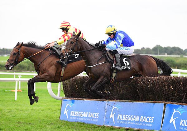Irishracing Com News Bonnie Continues Love Affair With Kilbeggan