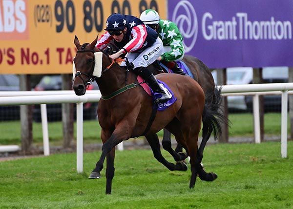 Trump Card and Shane Crosse 