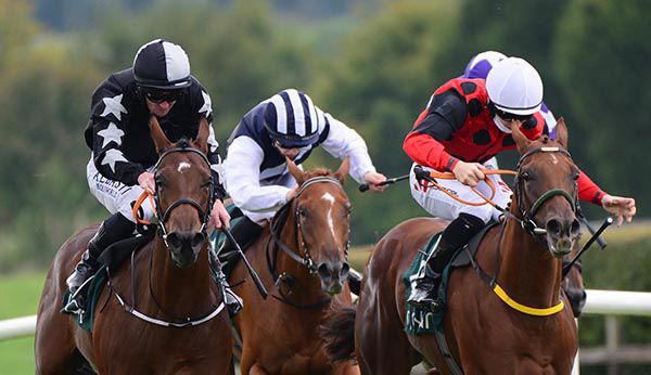 Navan 1-2 Giselles Ausie (left) and Chestnutter (red) renew rivalry at Naas

