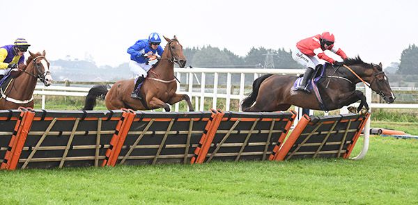 Shanacoole (Darragh O'Keeffe) leads over the last