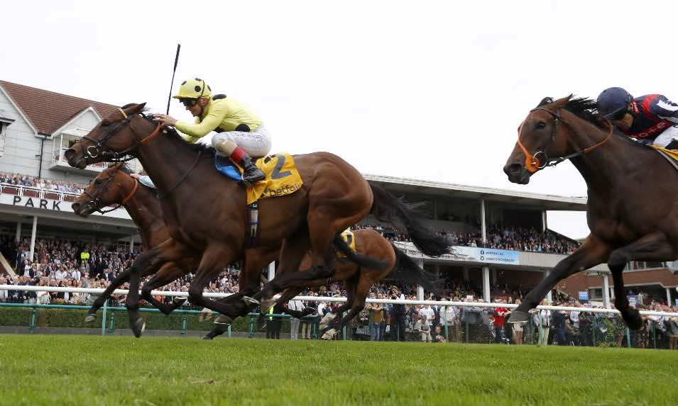 Emaraaty Ana pictured on her way to victory in the Group 1 Betfair Sprint Cup Stakes at Haydock last year