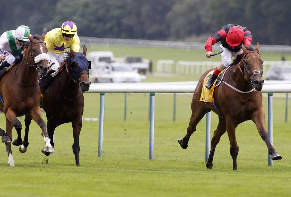 Artistic Rifles goes clear under Andrea Atzeni