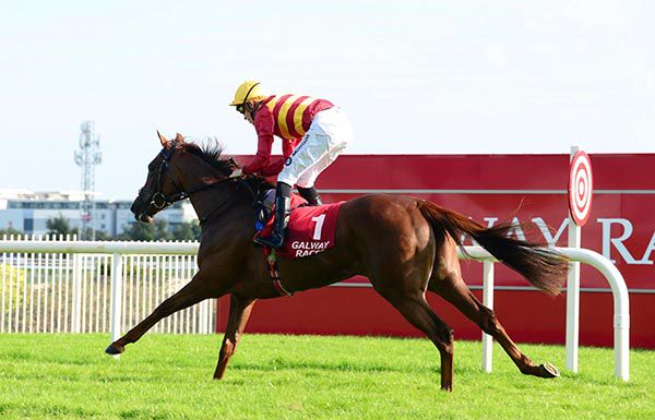 Tranquil Lady comes home a comfortable winner under Shane Crosse