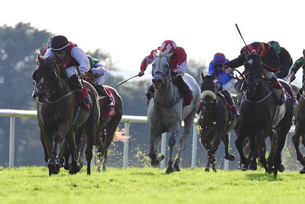 Dragon Of Malta (left) leads home his rivals under Shane Foley
